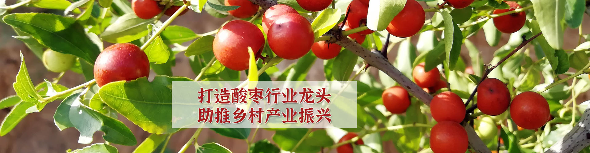 無(wú)錫君通科技服務(wù)有限公司